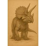 triceratops