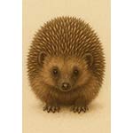 hedgehog s