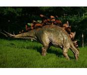 dinosaur 2 stegosaurus s