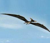 dinosaur 3 pterosaur s
