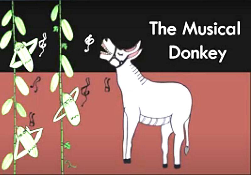 the musical donkey